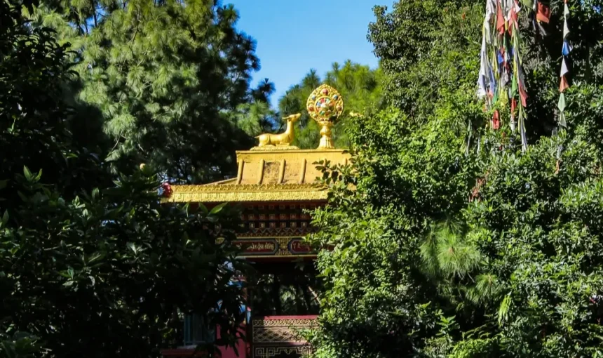 How to Plan the Perfect Vacation Without the Stress