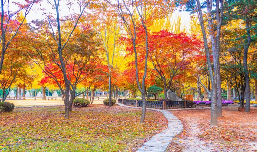 South Korea Travel Guide – The Perfect Blend of Culture & K-Style